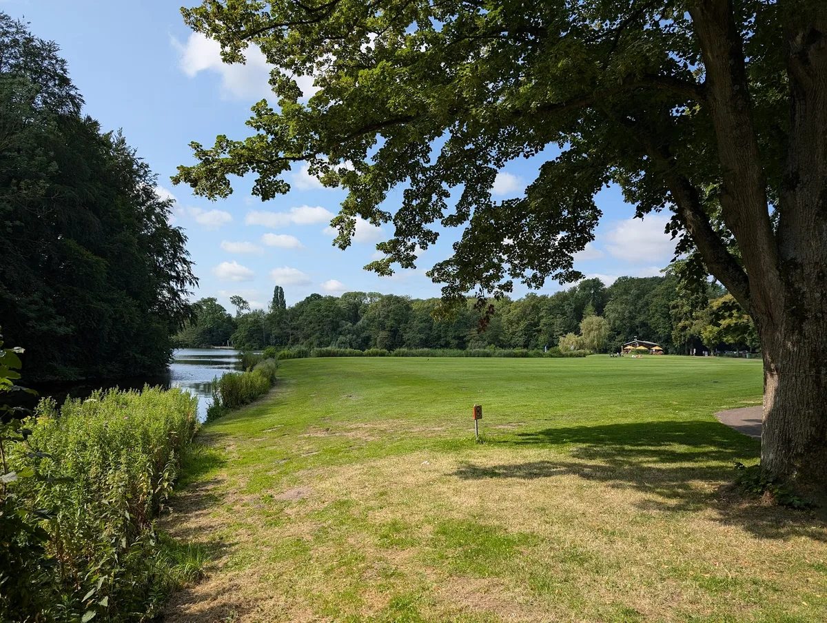 Amsterdam Forest